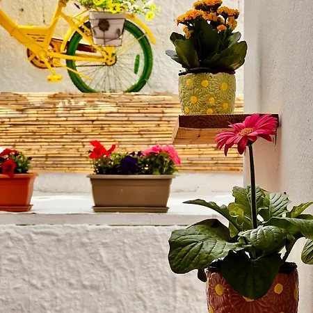 White In Naxos Town Appartement